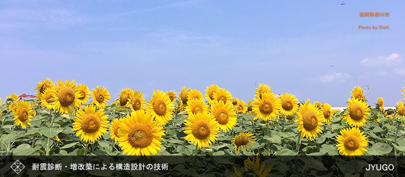 �\�ܐ݌v�������